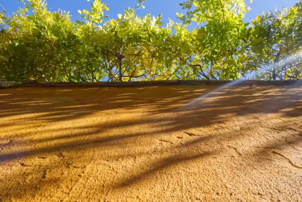 Pared naranja y hojas verdes